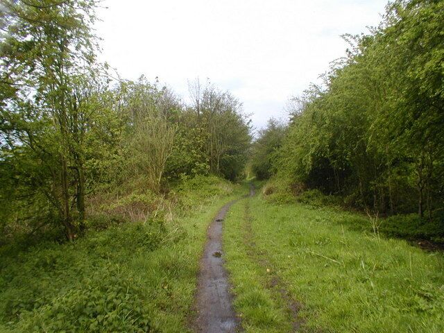 On 'The Way for the Millennium' This is a neglected, or should I say under used, footpath and cycleway following the route of the Stafford to Newport (Salop) railway line.