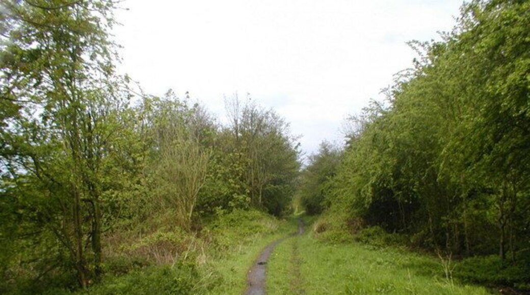 On 'The Way for the Millennium' This is a neglected, or should I say under used, footpath and cycleway following the route of the Stafford to Newport (Salop) railway line.