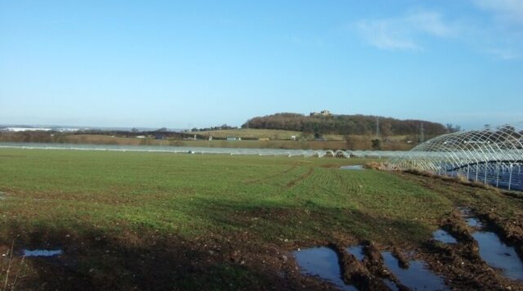 Farmland near Stafford Castle Looking across fields towards the M6 motorway with Stafford castle sat high on its hill and motte in the distance. The large white buildings to the left are the industrial units of Primepoint 14 by Junction 14. The polytunnels are a part of a strawberry farm that attracts droves of eastern European fruitpickers each summer.