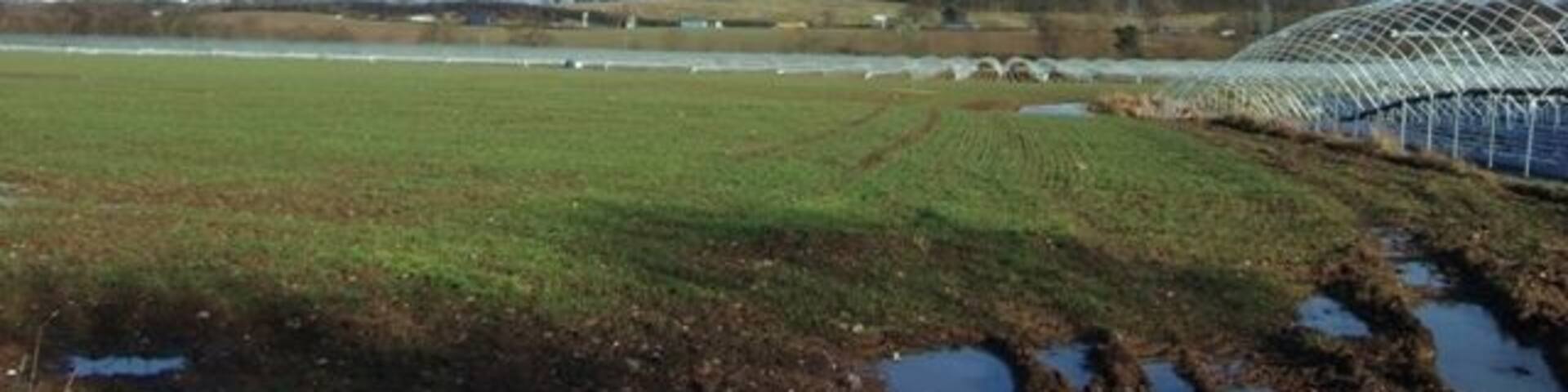 Farmland near Stafford Castle Looking across fields towards the M6 motorway with Stafford castle sat high on its hill and motte in the distance. The large white buildings to the left are the industrial units of Primepoint 14 by Junction 14. The polytunnels are a part of a strawberry farm that attracts droves of eastern European fruitpickers each summer.