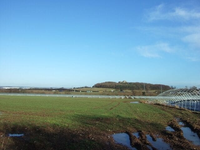 A green field with a greenhouse structure and a hill in the background.