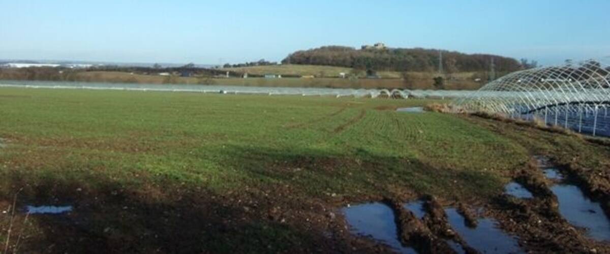 A green field with a greenhouse structure and a hill in the background.
