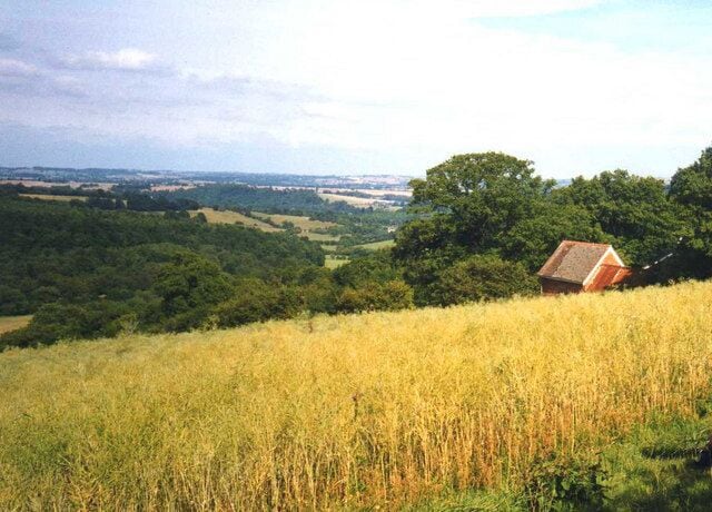 Rape field at Little Kipperknoll Cottage. View north-east across the Lugg valley from the footpath with the cottage on the right. From the same spot as 335924 but a complete contrast in late summer.