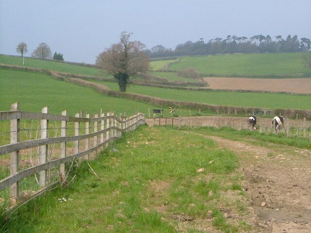 Herne Hill Fields climb the southern slopes of Herne Hill, seen here from the Ilminster-Chard road.