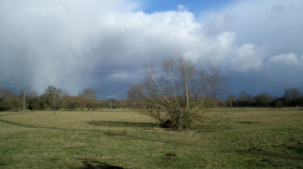 Fallen Tree In a field at the top end of Ducklington village. This picture is mainly for the effect of the snowstorm about to pile in from stage left. Footpath spotters will find two in this shot.