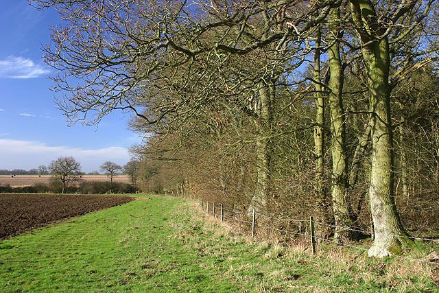 Moulden's Wood The eastern edge of Moulden's Wood.