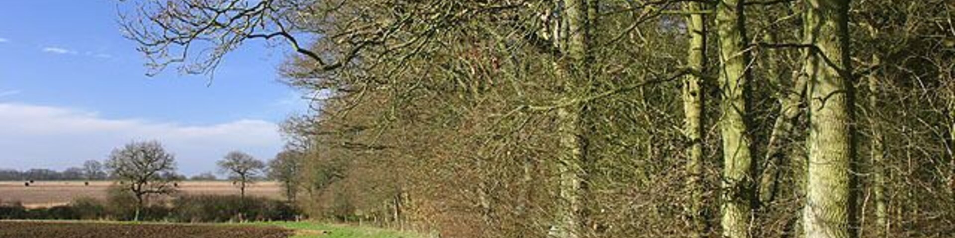 Un paisaje rural con un campo cercado, árboles sin hojas y cielo despejado.