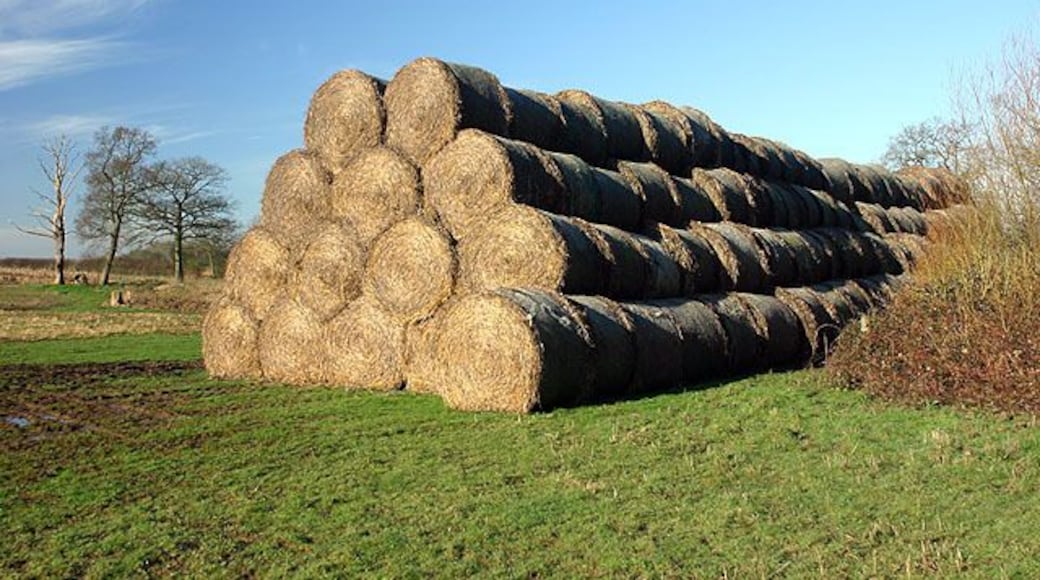 Straw bales near Moulden's Wood. A few tonnes of straw here!
