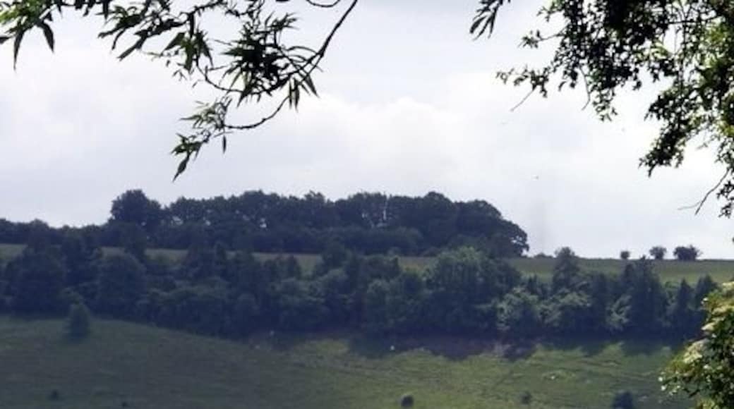 Track south of East Grimstead. The track runs from East Grimstead to the road running at the foot of the escarpment which lies in SU2225.