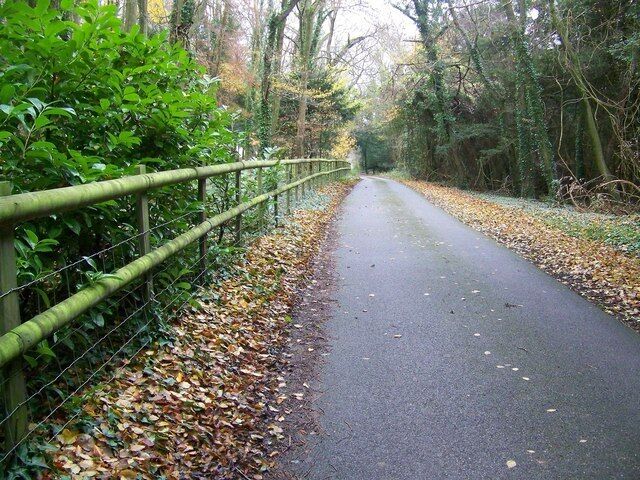 Byway near West Dean The byway continues as a metalled lane, past a number of large houses.