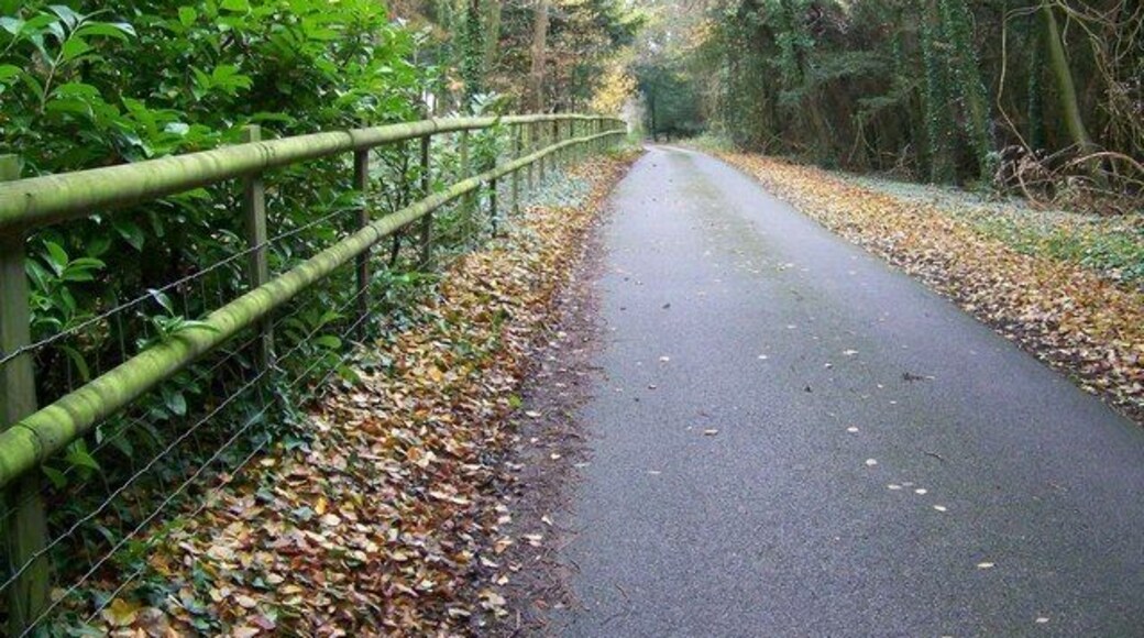Byway near West Dean The byway continues as a metalled lane, past a number of large houses.