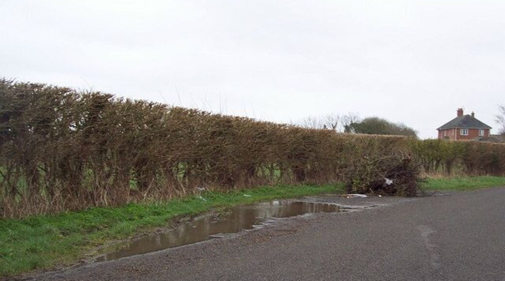 Roadside flytip near West Dean Fly-tipping is the illegal dumping of waste. It can vary in scale significantly from a bin bag of rubbish to large quantities of waste dumped from trucks. Fly-tipped waste may be found anywhere, such as roadsides, in lay-bys or on private land.
