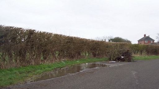 Roadside flytip near West Dean Fly-tipping is the illegal dumping of waste. It can vary in scale significantly from a bin bag of rubbish to large quantities of waste dumped from trucks. Fly-tipped waste may be found anywhere, such as roadsides, in lay-bys or on private land.
