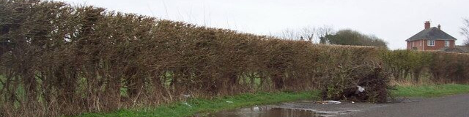 Roadside flytip near West Dean Fly-tipping is the illegal dumping of waste. It can vary in scale significantly from a bin bag of rubbish to large quantities of waste dumped from trucks. Fly-tipped waste may be found anywhere, such as roadsides, in lay-bys or on private land.