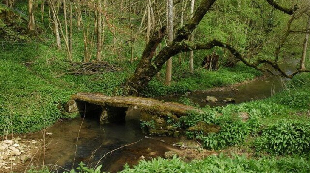Clapper bridge, Edgeworth A clapper bridge over the infant River Frome in a valley below Edgeworth Manor.