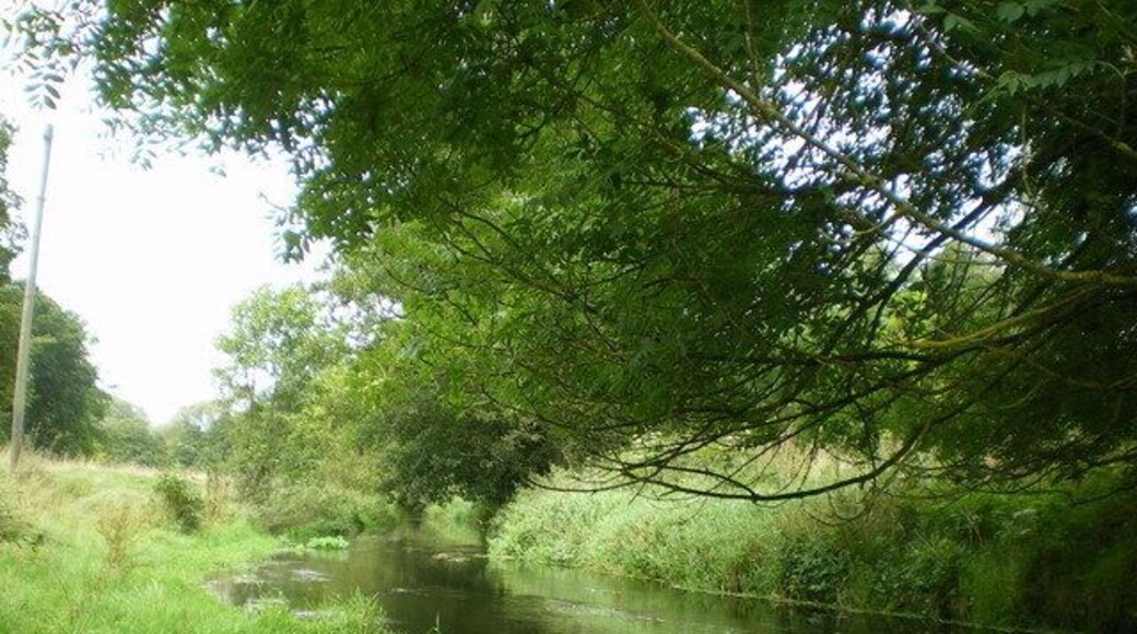 Meadows beside the Meese at Caynton. A slightly later-summer picture than 423524