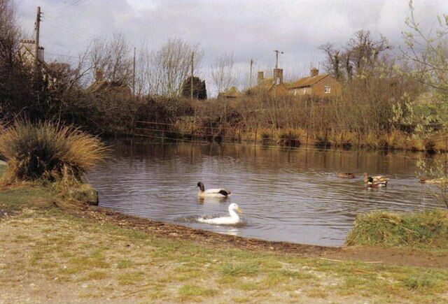 Edmondsham: Upper Farm pond