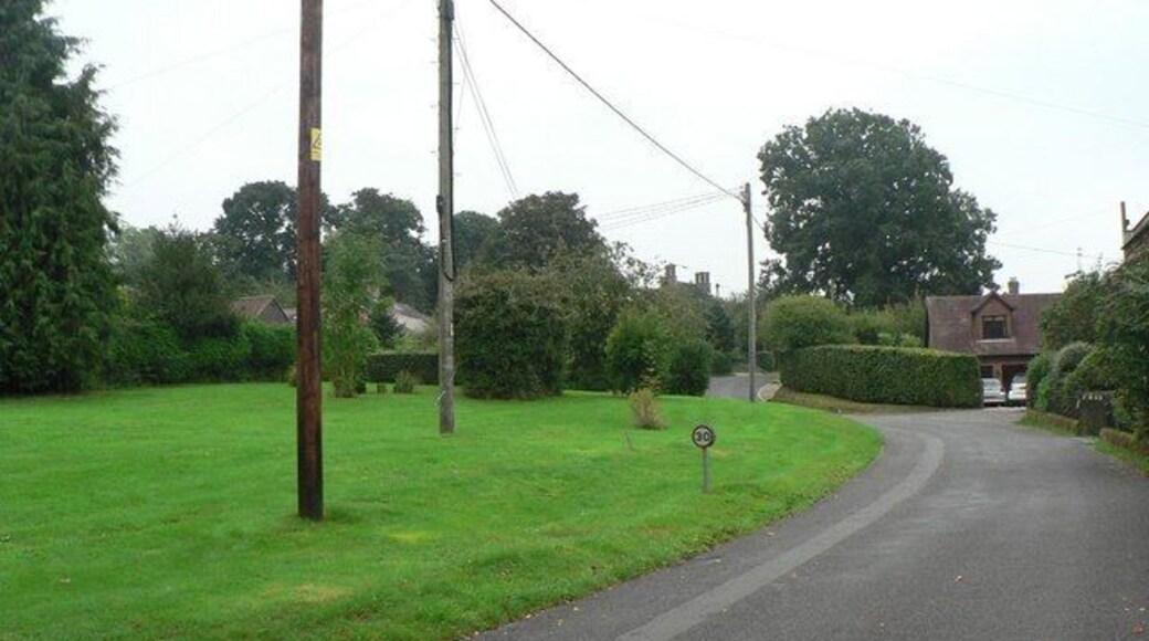 Edmondsham: village green A small village green alongside the road.