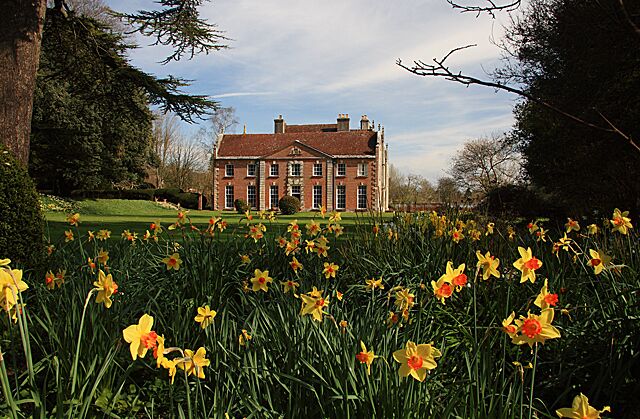 A large brick building with a red roof, surrounded by a field of yellow and orange daffodils.