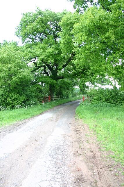 Leaving the Park The exit/entrance to Ellenhall Park - the lane leads to the village of Ellenhall.