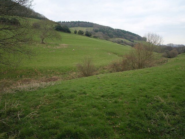 Valley at Chilcombe Farm The valley of a headwater of Halse Water near its source below Elworthy Cross, seen from the B3188 at Chilcombe Farm.