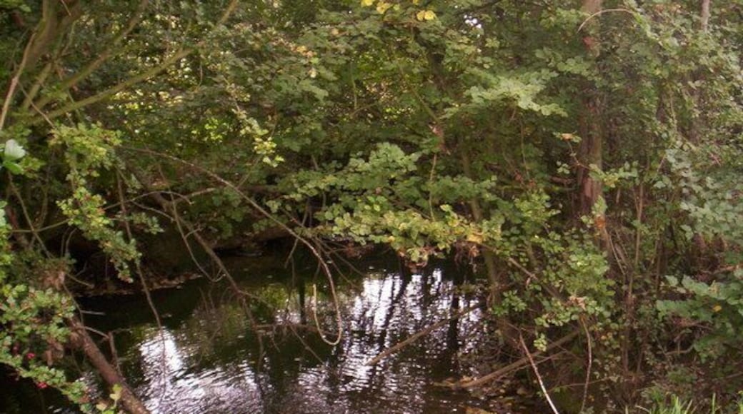 River Evenlode. North of the village of Evenlode, this is close to the river's source near Moreton-in-Marsh