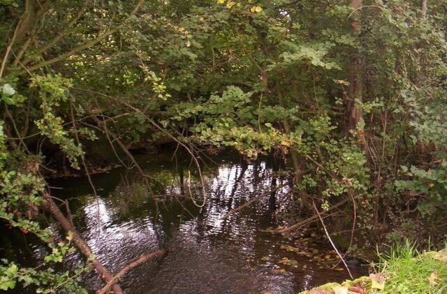 A calm river surrounded by dense foliage.