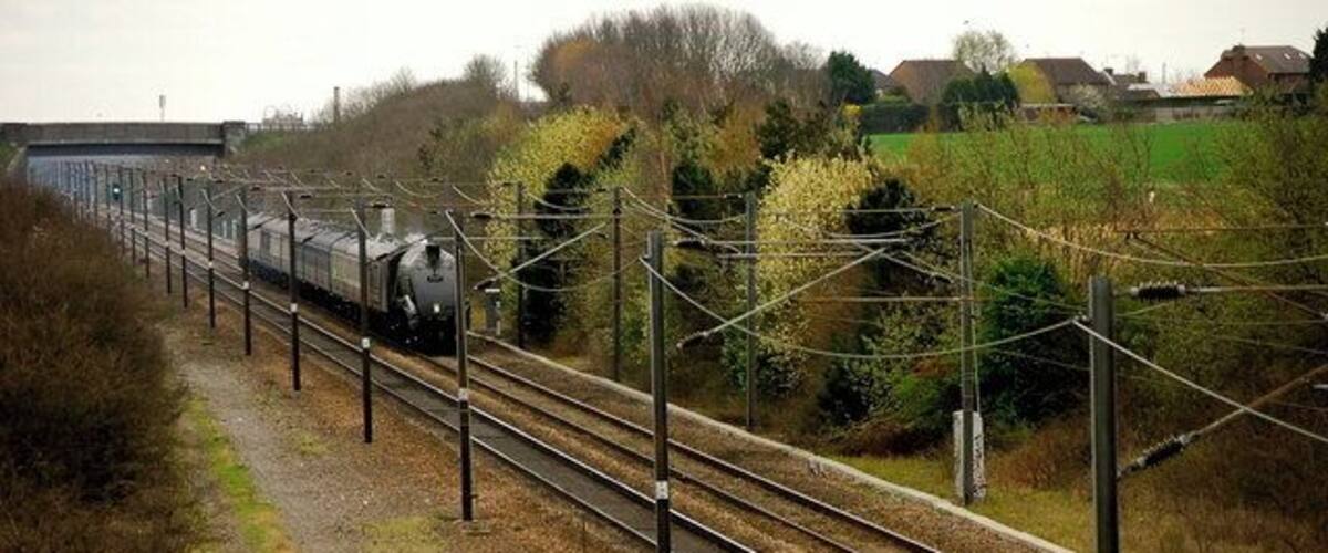 A train on railway tracks with overhead electrical lines, surrounded by trees and a rural landscape.