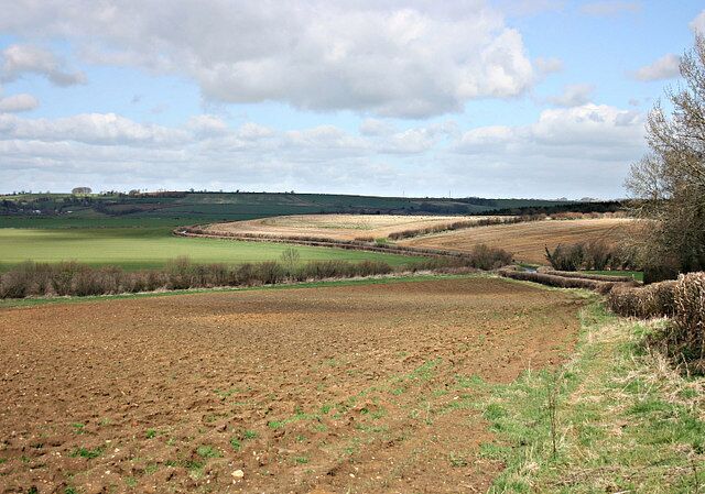 View from Lippiat Hill 359462 is at the bottom of this hill where you see the row of willows to the right.