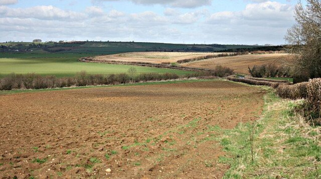 View from Lippiat Hill 359462 is at the bottom of this hill where you see the row of willows to the right.