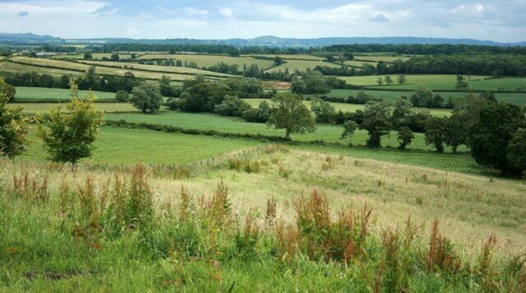 View from the byroad between Norton St Philip and Hemington Cley Hill, ST8344 near Longleat Park is almost central on the horizon.