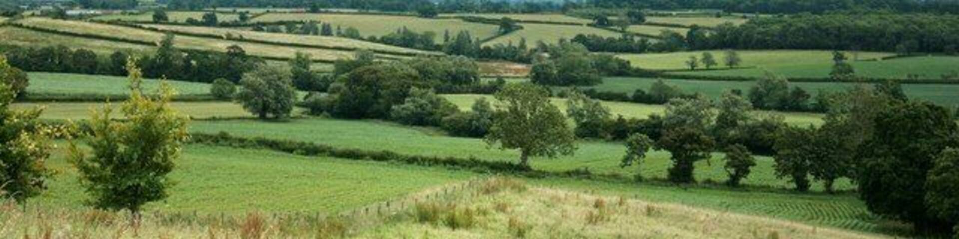 View from the byroad between Norton St Philip and Hemington Cley Hill, ST8344 near Longleat Park is almost central on the horizon.