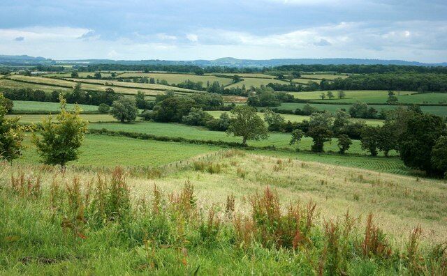 Rolling hills, fields, and scattered trees.