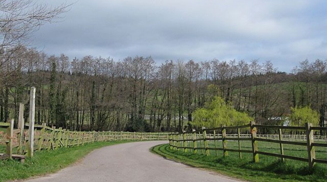 Private road to Flaxley Abbey Stile and footpath head off to the left. Flaxley Woods, in the background are hidden in the summer months by the line of trees.
