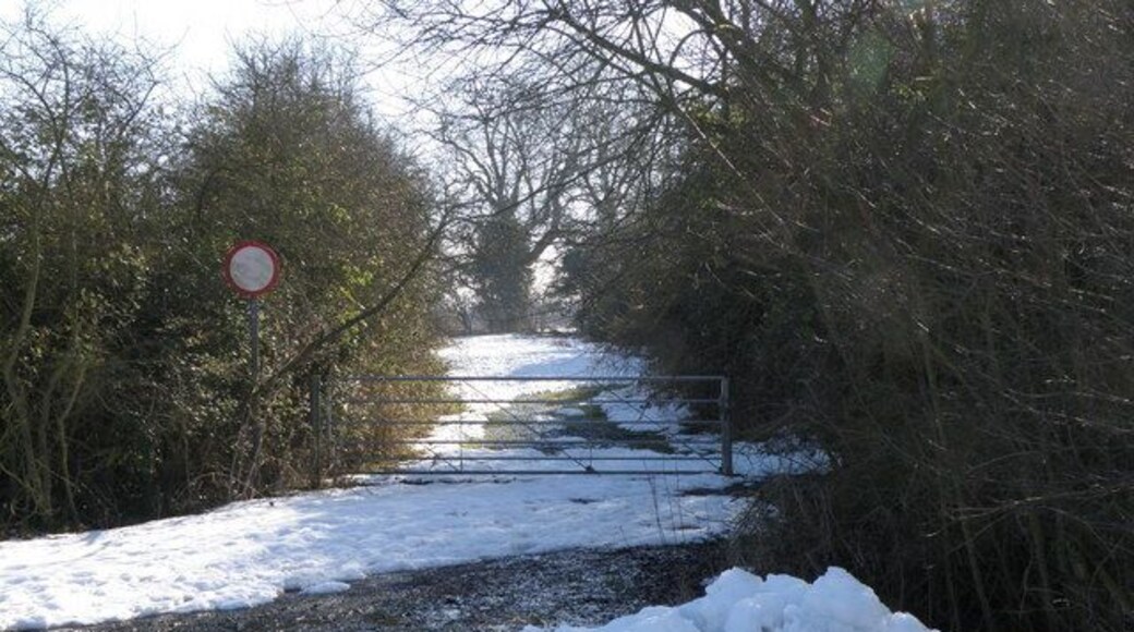 Green lane entrance, Denton A wintry view of the green lane.