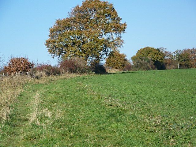 Heading towards Fovant The bridleway to Fovant, known as Tisbury Road, runs the other side of the fence. The track is totally overgrown and the field edge has been used as the thoroughfare.