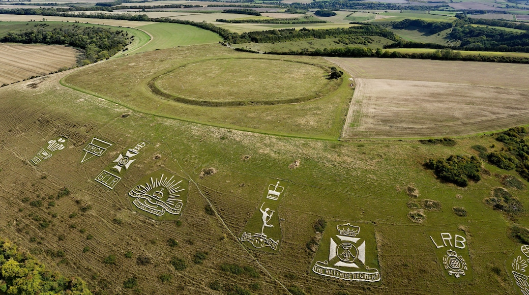 A rural landscape with rolling hills, fields, and a large circular pattern on the ground.