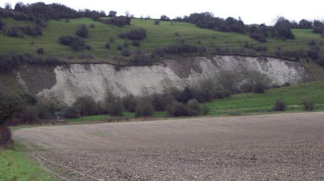 Disused Chalk Pit at Fovant Hollow