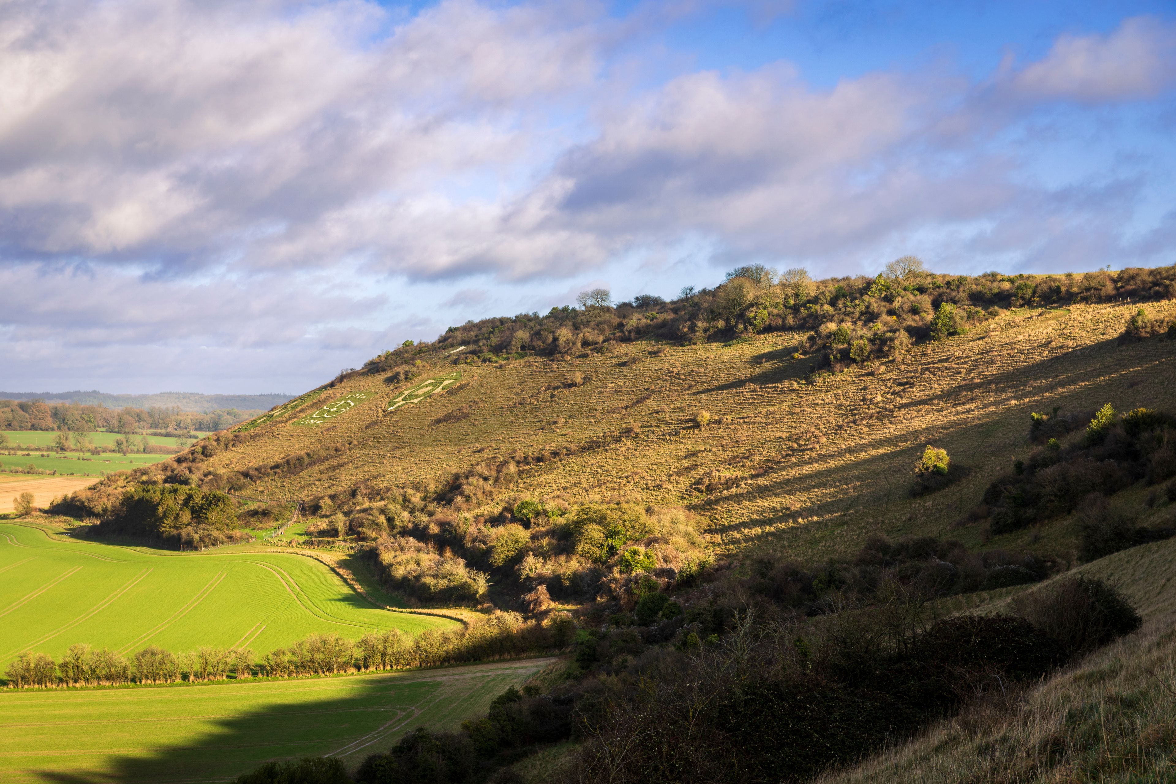 A hilly landscape with green fields, a winding path, and a forested hill.