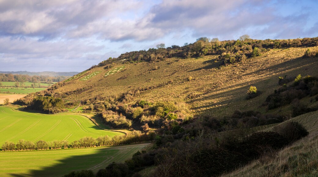 A hilly landscape with green fields, a winding path, and a forested hill.
