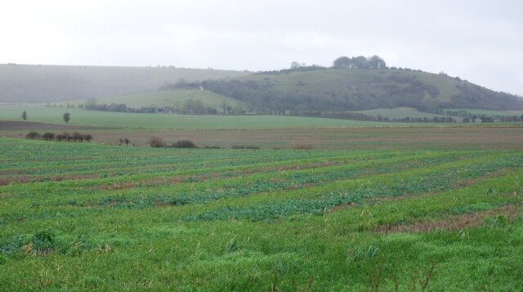Farmland from A30