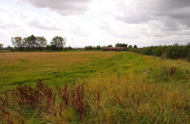 A grassy field with a fence in the foreground and trees in the background.