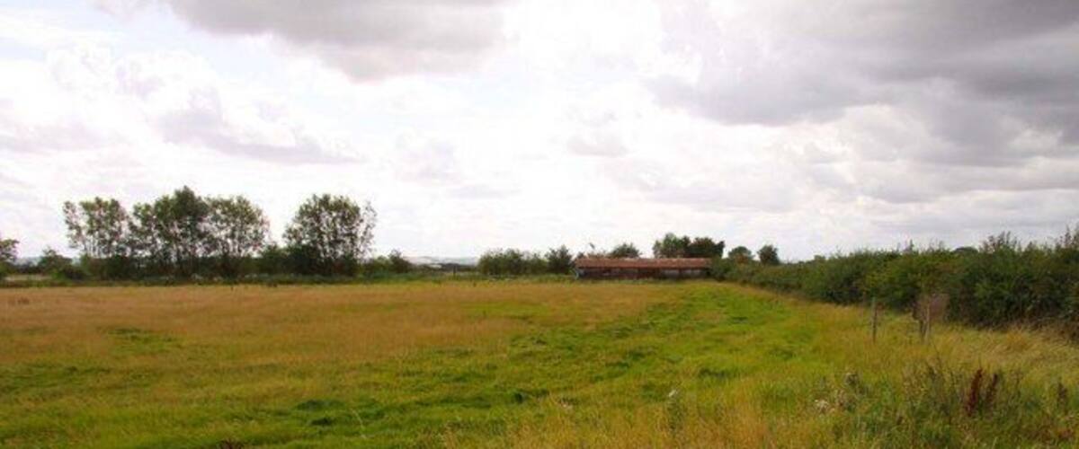 A grassy field with a fence in the foreground and trees in the background.