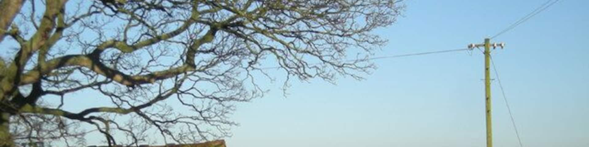 The lane through Lynn