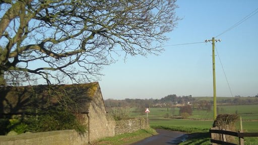 The lane through Lynn