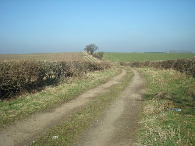 Bridleway to Guy's Bank