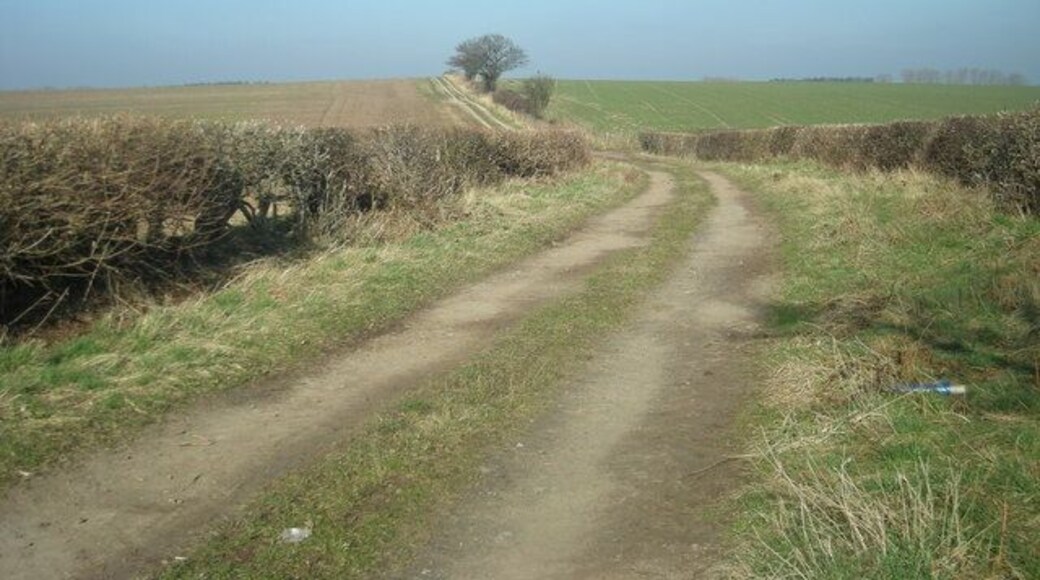 Bridleway to Guy's Bank
