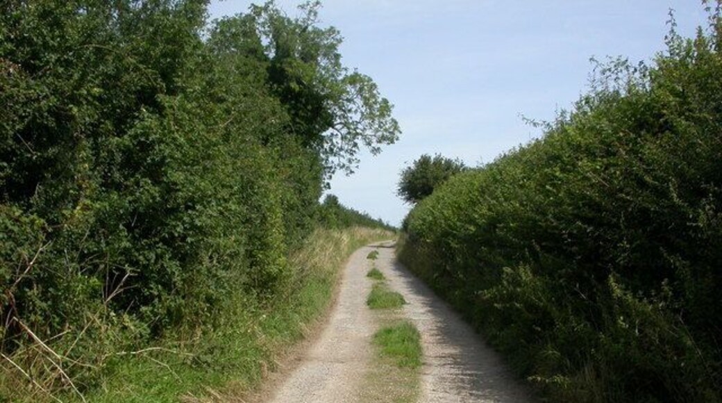 Gussage St Michael, byway Byway (open to traffic) North from the village, becoming a bridleway and track in 500m.