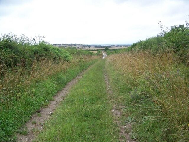 Bridleway near Gussage St Michael Looking along the bridleway towards Gussage Hill.