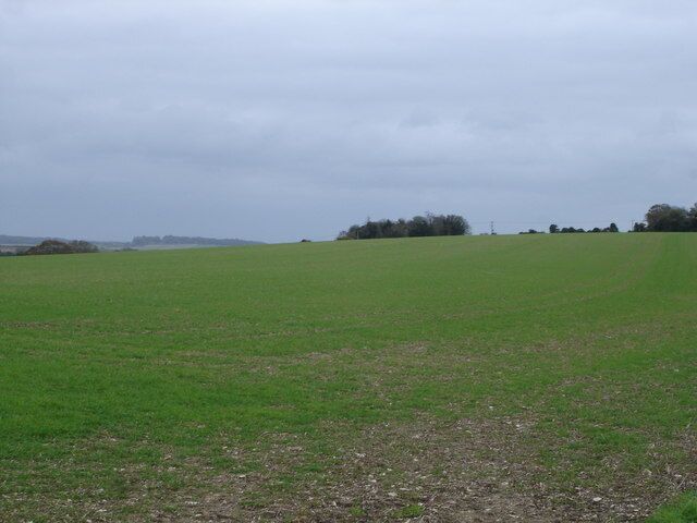 Down farmland above Gussage St Michael
